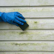 Mold and mildew removal